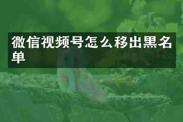 微信视频号怎么移出黑名单