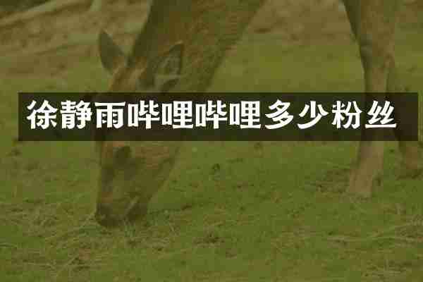 徐静雨哔哩哔哩多少粉丝