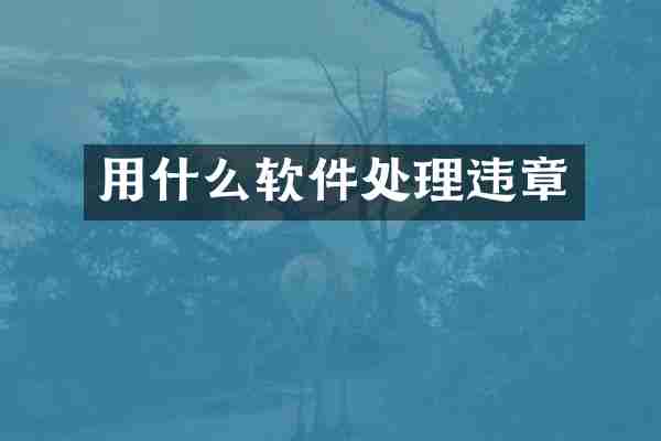 用什么软件处理违章