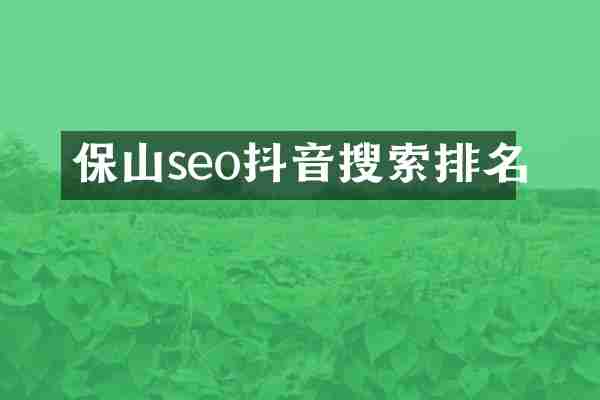 保山seo抖音搜索排名