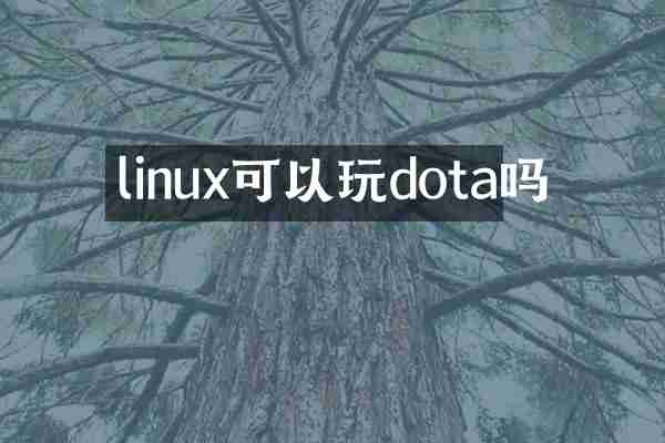 linux可以玩dota吗