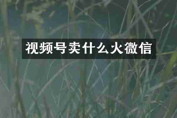 视频号卖什么火微信