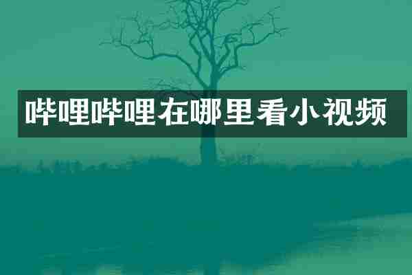 哔哩哔哩在哪里看小视频