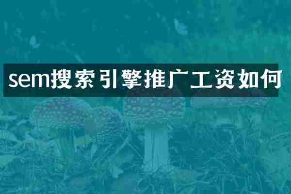 sem搜索引擎推广工资如何