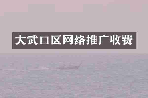大武口区网络推广收费