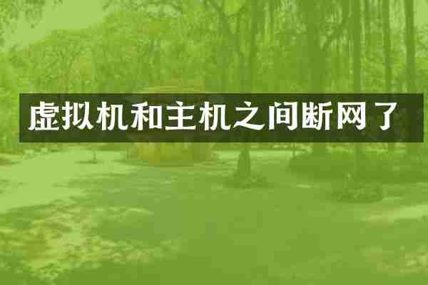 虚拟机和主机之间断网了