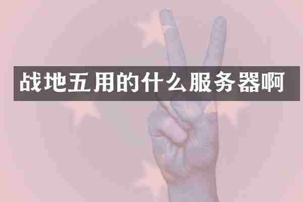 战地五用的什么服务器啊