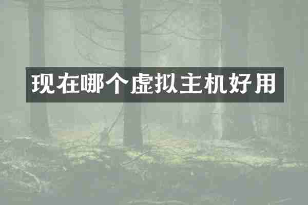 现在哪个虚拟主机好用
