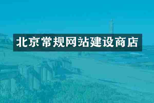 北京常规网站建设商店
