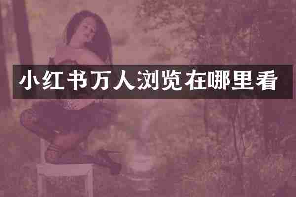 小红书万人浏览在哪里看