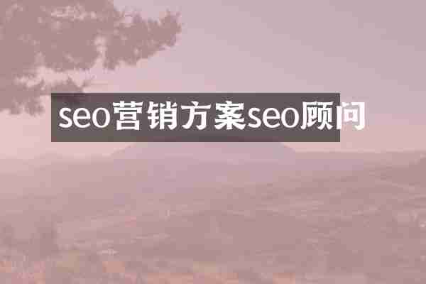 seo营销方案seo顾问