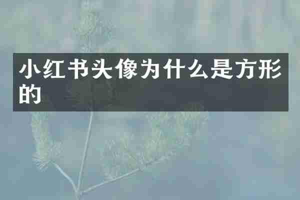 小红书头像为什么是方形的