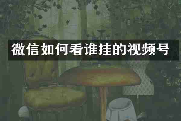 微信如何看谁挂的视频号