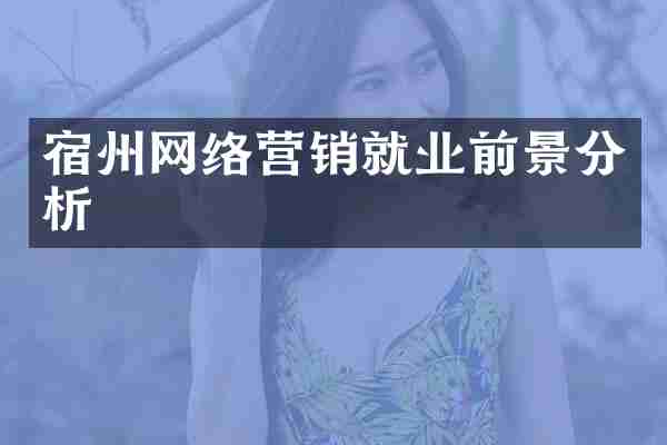 宿州网络营销就业前景分析