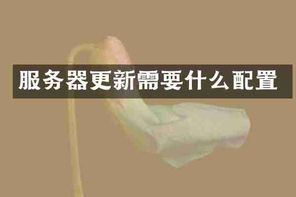 服务器更新需要什么配置