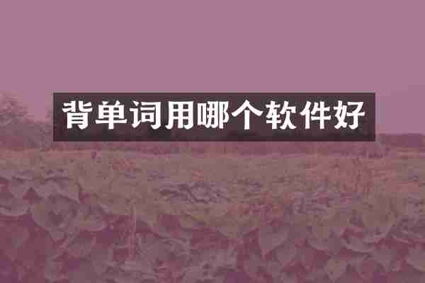 背单词用哪个软件好