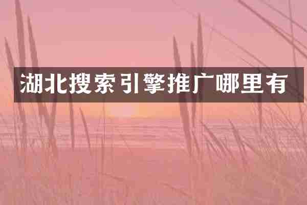 湖北搜索引擎推广哪里有