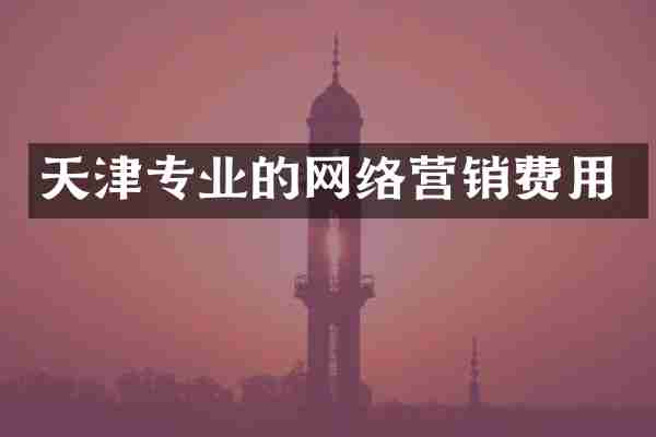 天津专业的网络营销费用