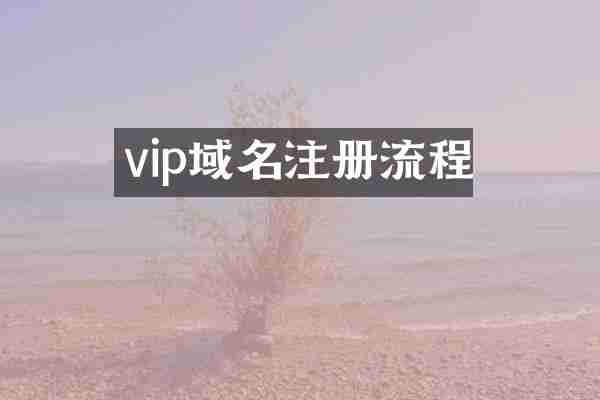 vip域名注册流程
