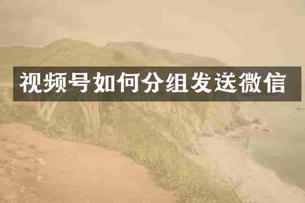视频号如何分组发送微信
