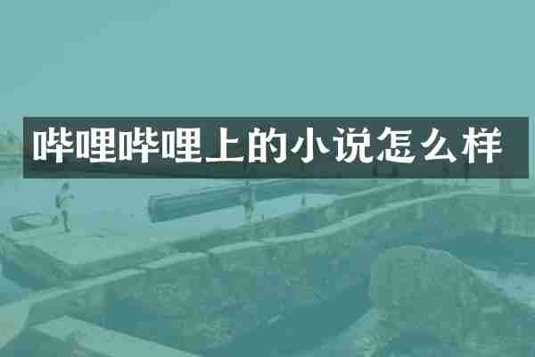 哔哩哔哩上的小说怎么样