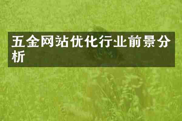 五金网站优化行业前景分析