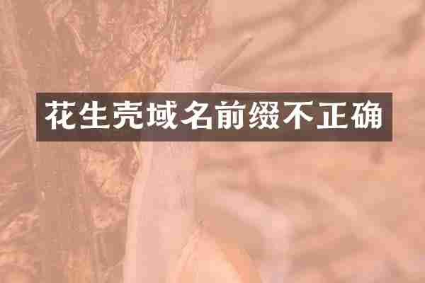 花生壳域名前缀不正确
