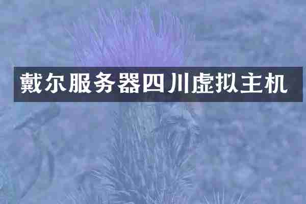 戴尔服务器四川虚拟主机