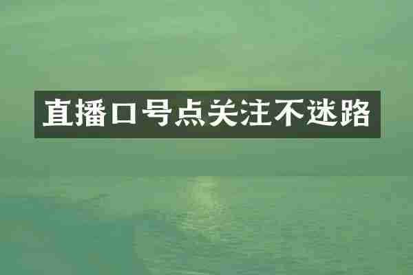 直播口号点关注不迷路