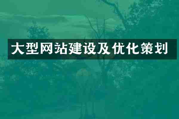 大型网站建设及优化策划
