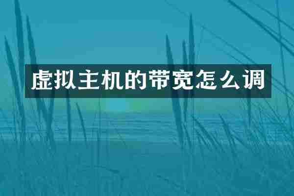 虚拟主机的带宽怎么调