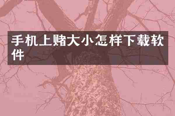 手机上赌大小怎样下载软件