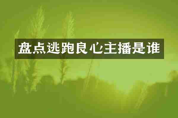 盘点逃跑良心主播是谁