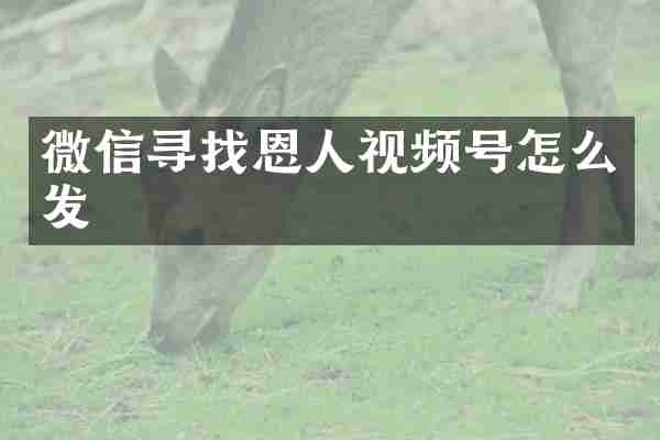 微信寻找恩人视频号怎么发