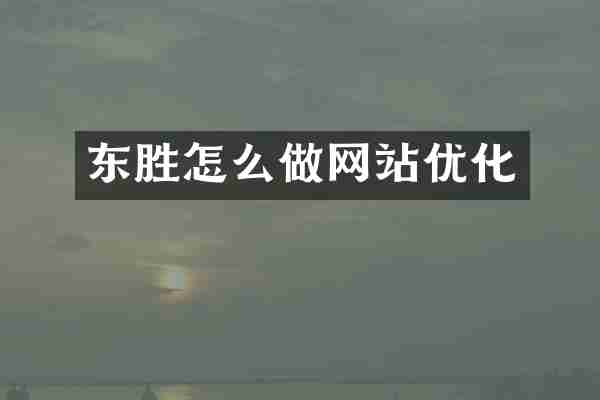 东胜怎么做网站优化