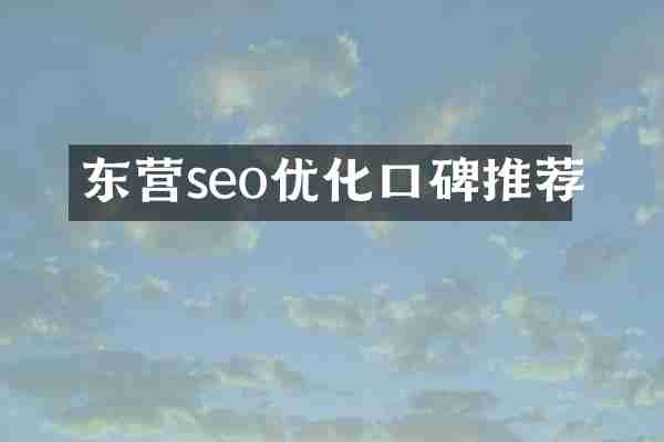 东营seo优化口碑推荐
