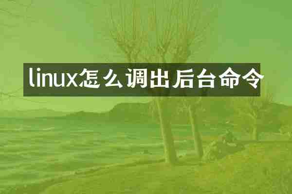 linux怎么调出后台命令
