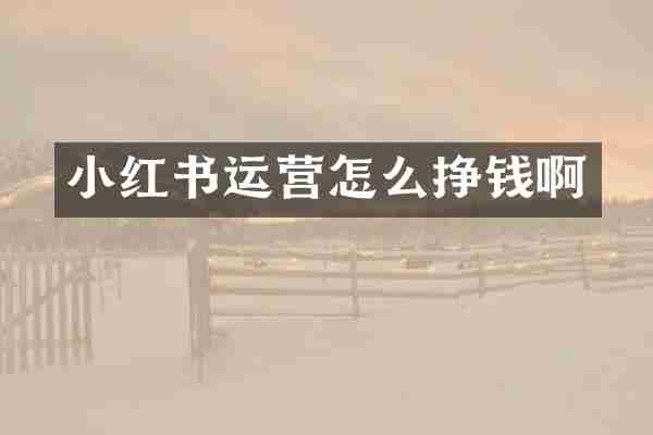 小红书运营怎么挣钱啊