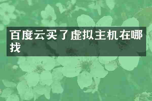 百度云买了虚拟主机在哪找