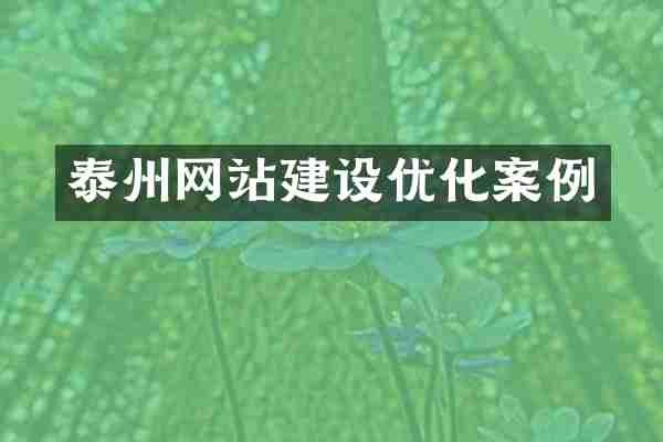 泰州网站建设优化案例