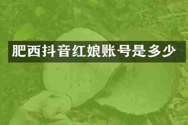 肥西抖音红娘账号是多少