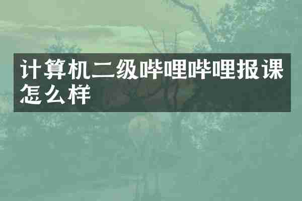 计算机二级哔哩哔哩报课怎么样