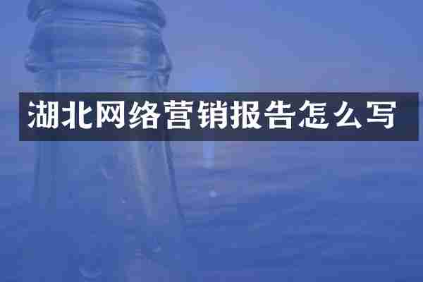 湖北网络营销报告怎么写