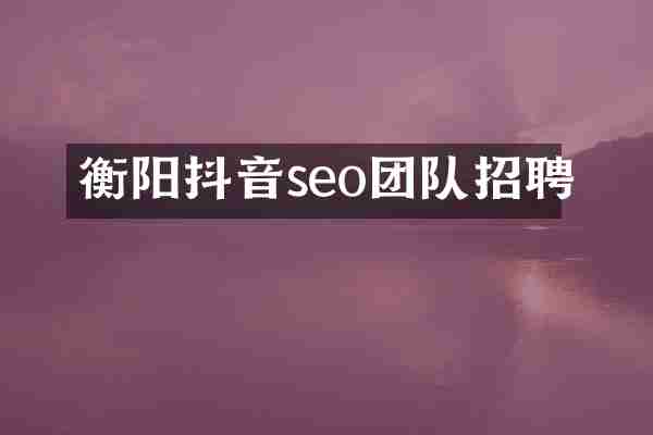 衡阳抖音seo团队招聘