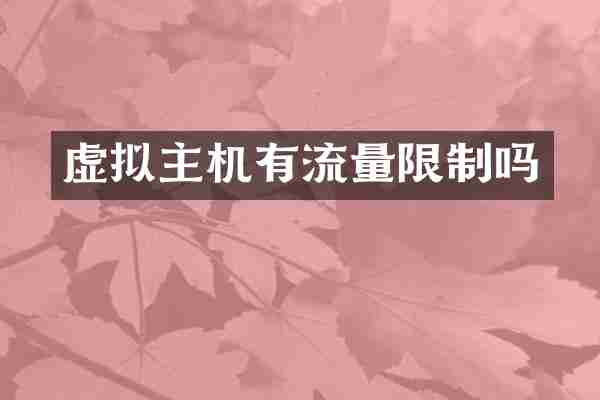 虚拟主机有流量限制吗