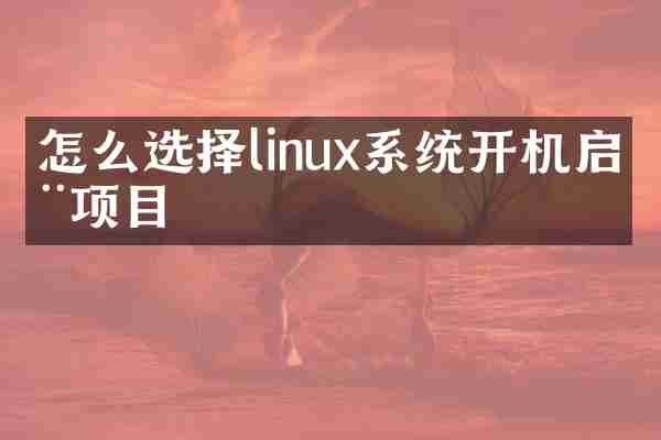 怎么选择linux系统开机启动项目