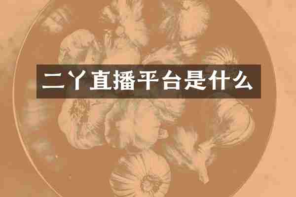 二丫直播平台是什么