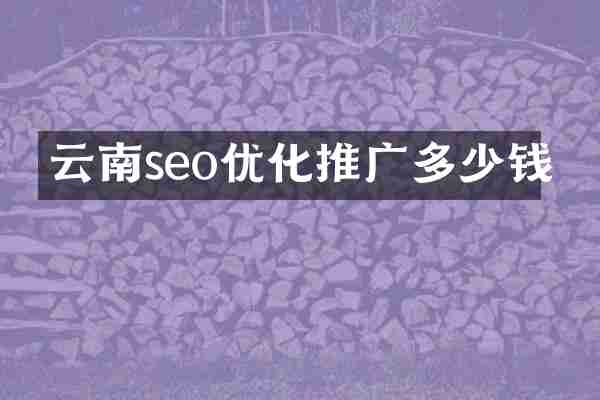 云南seo优化推广多少钱
