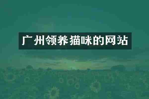 广州领养猫咪的网站