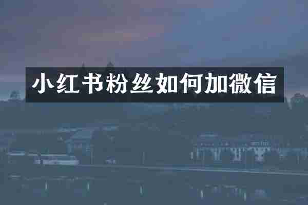 小红书粉丝如何加微信